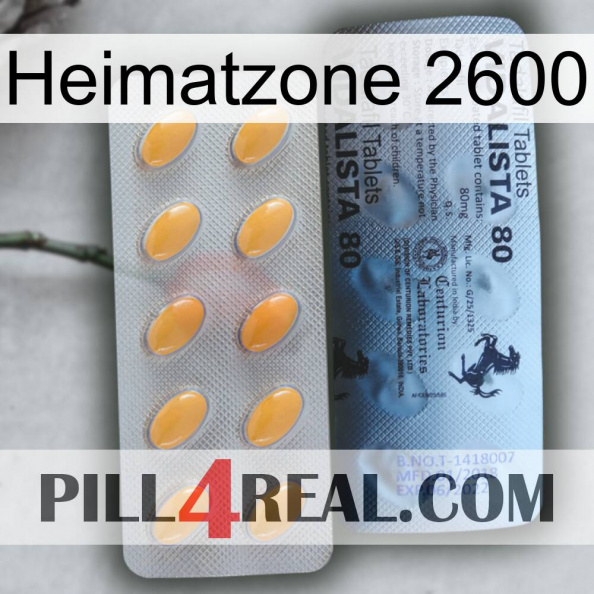 Home Zone 2600 44.jpg
